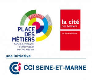 LOGO CCI S&M et COMM 3D-2012-CMJN